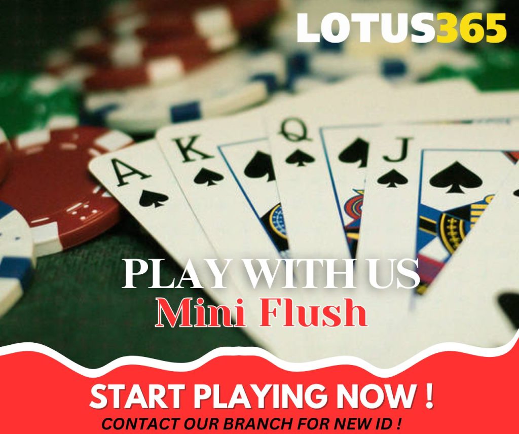 Maximizing Your Profits with Mini Flush Bets on Lotus365 2 Mini Flush betting strategies