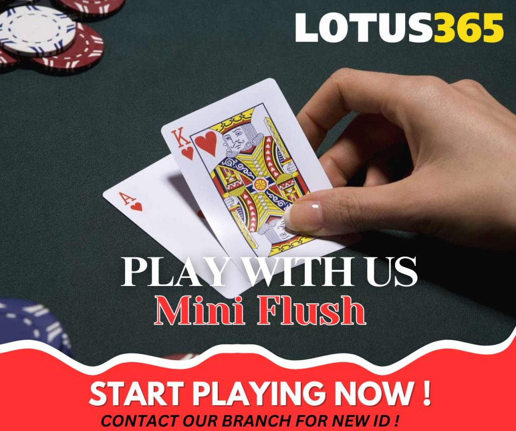 Maximizing Your Profits with Mini Flush Bets on Lotus365 8 Mini Flush game on Lotus365