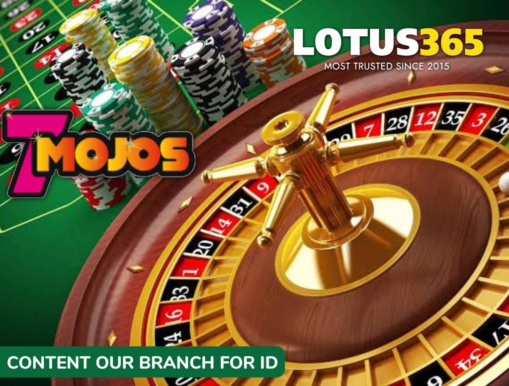Top Mistakes to Avoid When Betting on 7Mojos on Lotus365 8 Successful betting on 7Mojos Lotus365