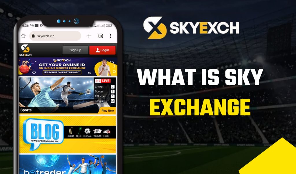 Sky Exchange 5 What is Sky Exchange