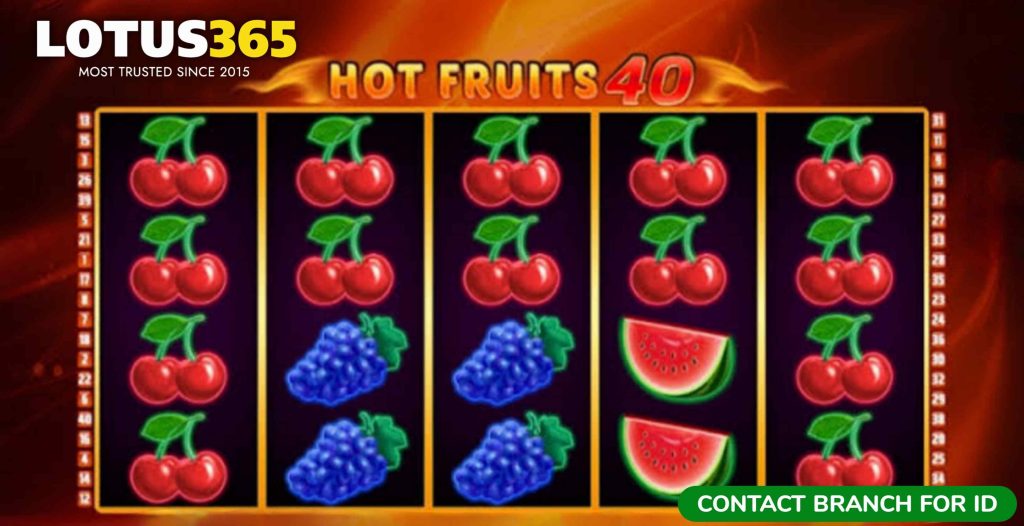 Expert Tips for Winning Hot Fruits 40 on Lotus365 3 Hot Fruits 40 betting guide