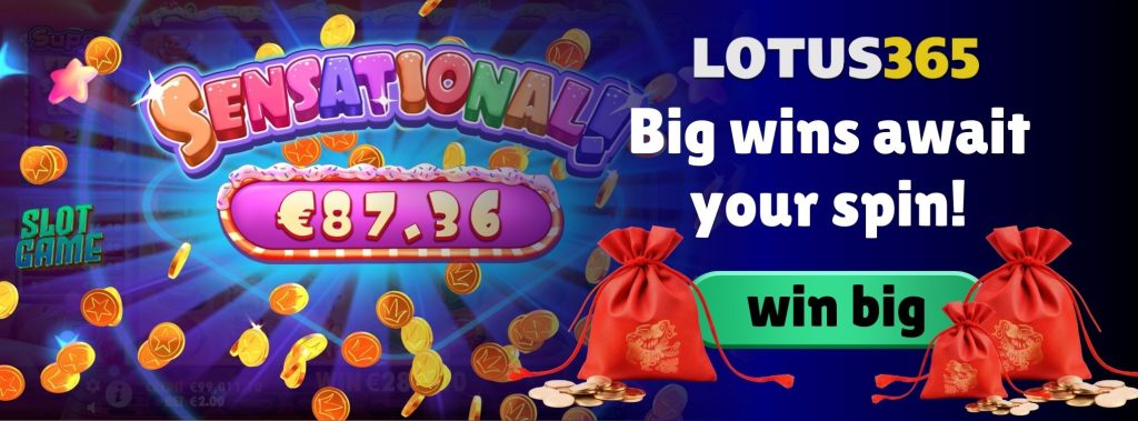 A Beginner Guide to Playing Sugar Rush 1000 on Lotus365 2 Best online slots on Lotus365