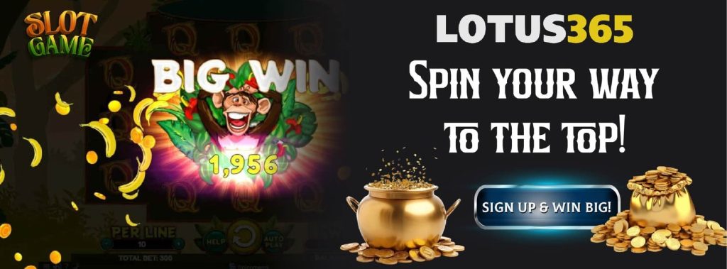 Top 5 Reasons to Play Wacky Monkey on Lotus365 Today 3 Free spins on Wacky Monkey