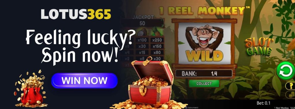 Top 5 Reasons to Play Wacky Monkey on Lotus365 Today 6 Wacky Monkey jackpot features