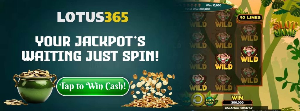 Top 5 Reasons to Play Wacky Monkey on Lotus365 Today 7 Wacky Monkey online betting