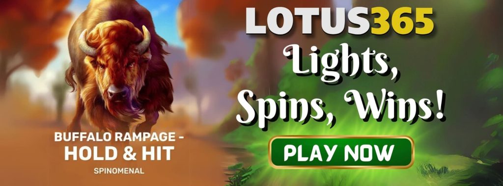 Top Tips for Buffalo Rampage Slot on Lotus365 2 Buffalo Rampage bonus features