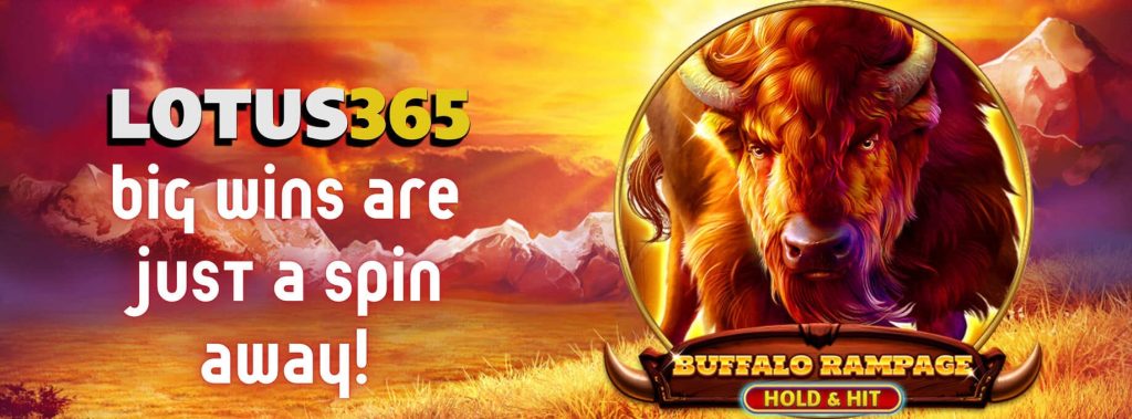 Top Tips for Buffalo Rampage Slot on Lotus365 3 Buffalo Rampage gameplay tips