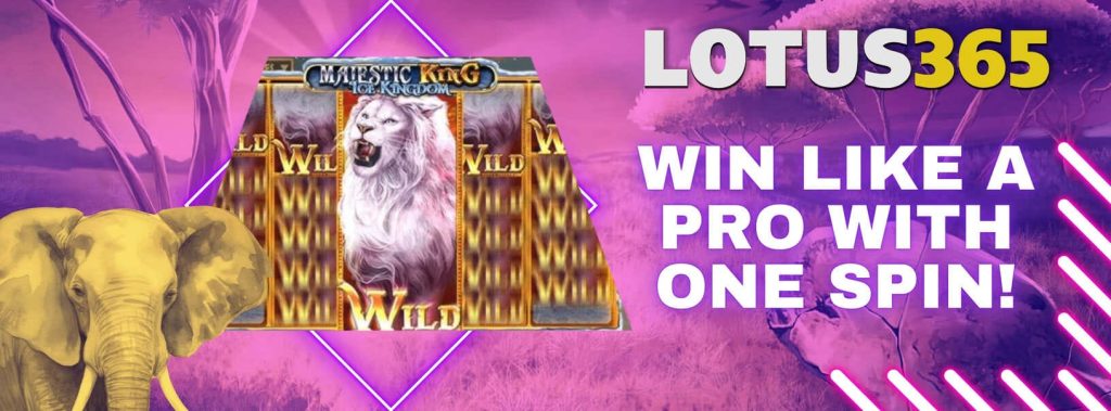 Majestic King Slot Guide on Lotus365 5 Majestic King Slot Features