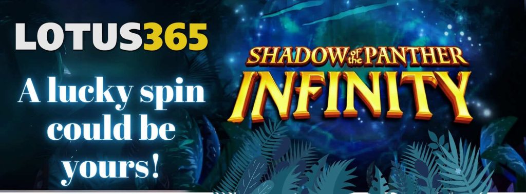 Shadow of the Panther Infinity Slot Review 4 Shadow of the Panther Infinity features